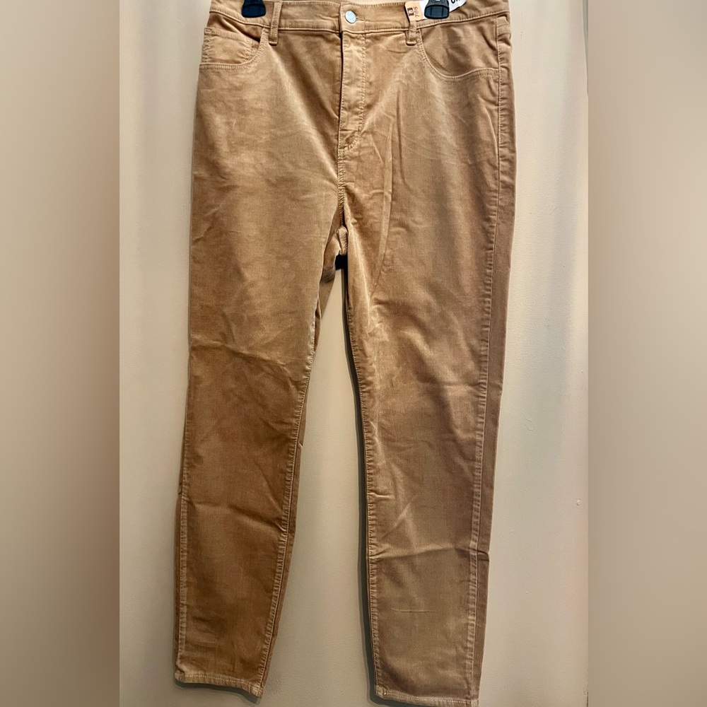 Loft Corduroy Pants